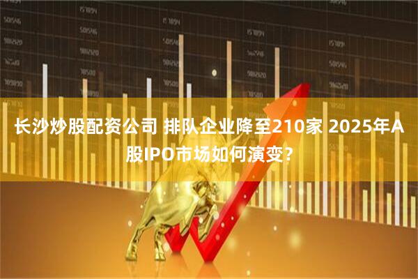 长沙炒股配资公司 排队企业降至210家 2025年A股IPO市场如何演变？